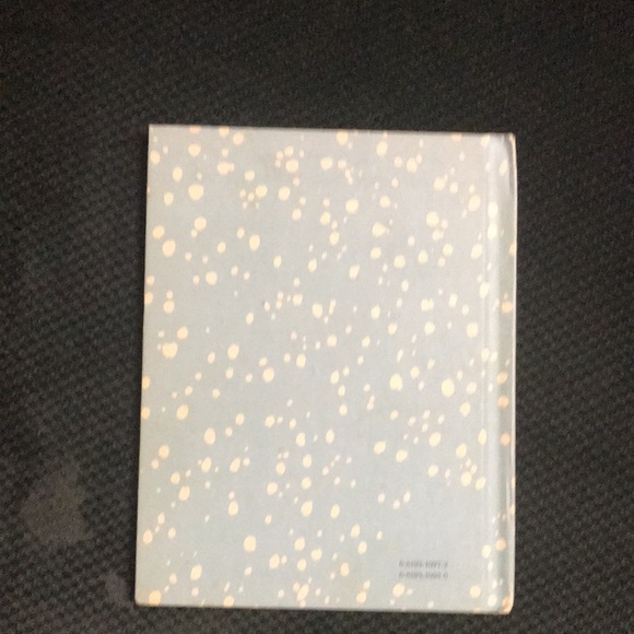 Snow Lion By David McPhail - Picture 2 of 16